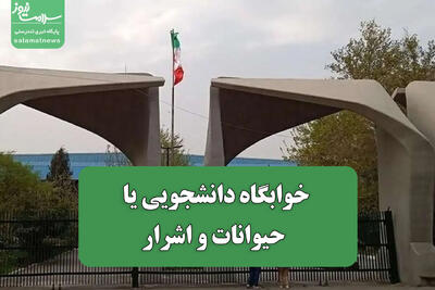  خوابگاه دانشجویی یا جولانگاه حیوانات و اشرار