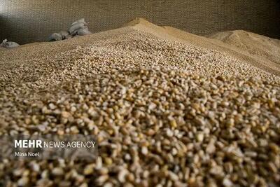  کابوس فساد در وزارت کشاورزی: معاونان به دام بازرسی افتادند!