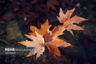  هوای آذربایجان غربی در دام پایداری؛ آیا غول بحران در راه است؟