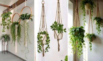  بهترین گیاهان آپارتمانی آویز مناسب دیوار واسه خونه های فسقلی لوکس؛ مدل های گلدان معلق