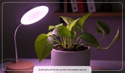  لامپ فول اسپکتروم چیست و چه کاربرد هایی دارد؟