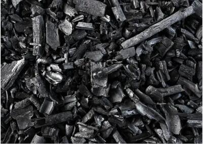  فناوری جدید، چوب را به رقیب فولاد تبدیل کرد! / بیوچار پایدار با قدرت فلز