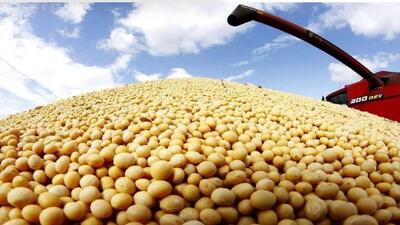  تولید ایزوله سویا برای اولین بار در بهشهر انجام می‌شود