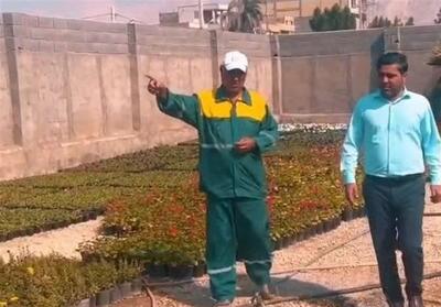  شهرداری کنگان به دنبال خودکفایی گلخانه‌ای و توسعه پایدار فضای سبز - تسنیم