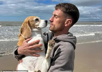  سگ رمزی گم شد، فوتبالش در مکزیک به پایان رسید!