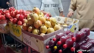  برداشت دانه‌های یاقوت در باغشهر تفت + فیلم