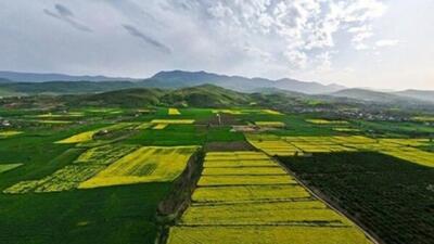  ثبت رسمی سبز؛ اراضی لرستان سنددار شدند