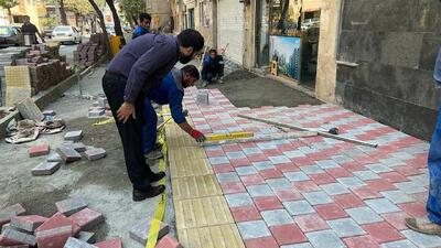  ۱۷۳ بوستان در سطح شهر تهران مناسب‌سازی شده‌اند