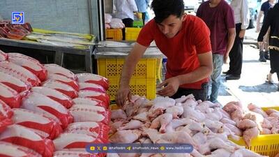  خبر خوش درباره تنظیم بازار مرغ اعلام شد