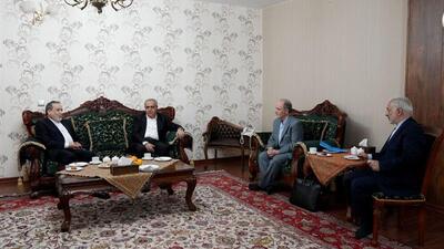  دیدار عراقچی با خانواده استاد دانشگاه ایرانی زندانی در ترکیه