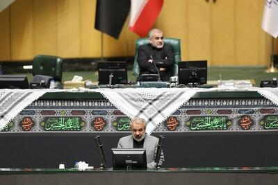  نماینده مشهد: اگر پزشکیان به فکر التیام کابینه نباشد، مجلس وزرای ناتوان و قانون گریز را تعویض خواهد کرد