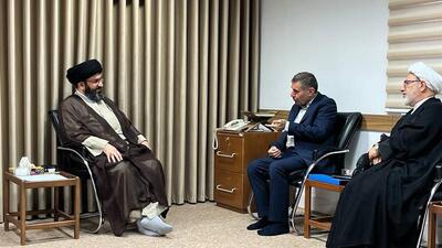  تاکید مشاور رئیس‌جمهور بر اهمیت همدلی و اعتمادسازی در استان‌ها