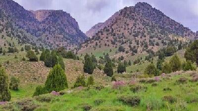  وجود ۶۰۰ گونه گیاهی و جانوری در سیزدهمین ذخیرگاه زیست کره