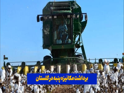  برداشت مکانیزه پنبه در گلستان