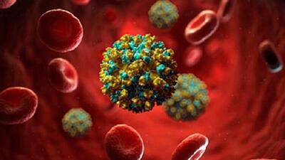  ارائه خدمات رایگان هپاتیت درمراکز مشاوره بیماری‌های رفتاری خراسان شمالی