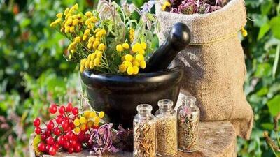  آمادگی سازمان تحقیقات، آموزش و ترویج کشاورزی برای حمایت از توسعه گیاهان دارویی در استان ها
