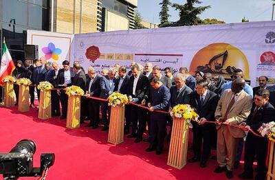  آغاز به کار نمایشگاه ایران کان‌ماین ۲۰۲۵ با حضور 400 فعال داخلی و خارجی حوزه معدن