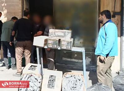  برخورد قاطع با فروش زغال بلوط در کرمانشاه آغاز شد/ خط قرمز منابع طبیعی؛ حفظ درختان زاگرس