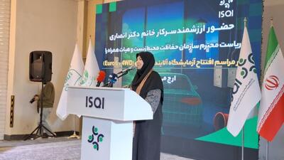  معاون رییس جمهور: برنامه ریزی منسجم برای پیاده سازی قانون هوای پاک در دستور کار است