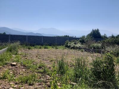  کشف زمین خواری میلیاردی در چالوس/ ۹ هزار متر مربع از زمین‌های تصرف شده خلع ید شد