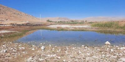  تالاب پیرسلمان اسد آباد دوباره جان گرفت