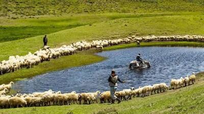  ظرفیت تولید ۲۵۰۰ تن بذر مرتعی با تامین اعتبار