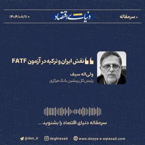  «نقش ایران و ترکیه در آزمون FATF»