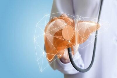  ارگانوئید جدید زخم کبدی را شبیه سازی می کند - اکونیوز