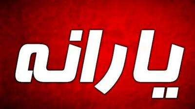  اصلاح فوری نظام دهک‌بندی یارانه‌ها؛ مجلس دست به کار شد