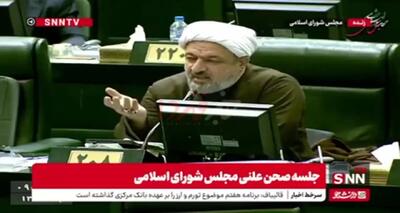  رسایی: فرزند آقای عارف تابعیت آلمان را دارد/ جایگاه‌ ایشان غیرقانونی است