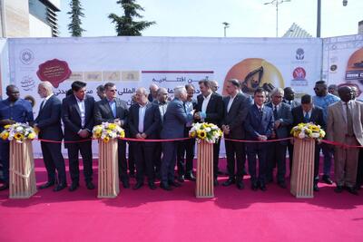  نمایش اقتدار صنعت معدن ایران در نوزدهمین نمایشگاه بین‌المللی تهران