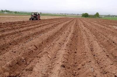  کشاورزان به‌زودی هفده‌ هزار و ۸۵۰ هکتار از زمین‌های خرمشهر را با بذر کلزا، گندم و جو سبز می‌کنند