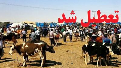  تعطیلی موقت میادین دام آذربایجان غربی برای مهار تب‌برفکی