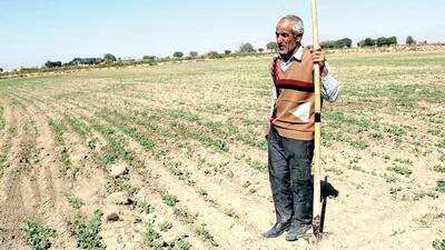  تأخیر در کشت پاییزه ناگزیر است