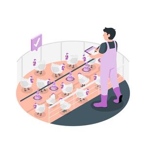  واردکنندگان متهم به عرضه بدون ضمانت/  پشت‌پرده مرغ ۱۹۰ هزار تومانی در بازار