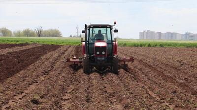  آغاز کشت پاییزه در سطح بیش از ۵۷ هزار هکتار اراضی کشاورزی دزفول