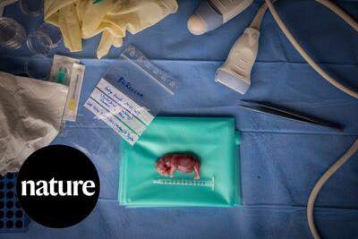  نگاهی به برترین تصاویر علمی این ماه از نگاه مجله نیچر