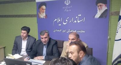  معاون استاندار: در پرداخت تسهیلات در ایلام جهش داشتیم/ تضامین و وثایق همچنان مشکل تسهیلات