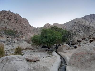  زیرساخت‌های گردشگری در تفرجگاه تنگ کتویه داراب ارتقا می‌یابد