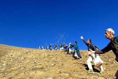  رئیس اداره حفاظت محیط زیست شهرستان: مراتع منطقه حفاظت شده گلیل و سرانی شیروان بذر پاشی شد