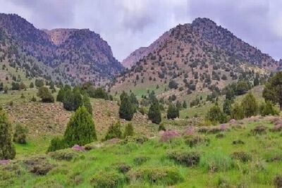  وجود ۶۰۰ گونه گیاهی و جانوری در سیزدهمین ذخیرگاه زیست کره