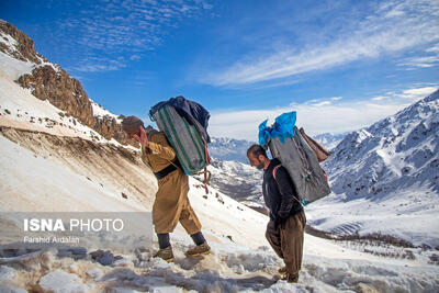  اجرای طرح اشتغالزایی جایگزین کولبری توسط بنیاد برکت
