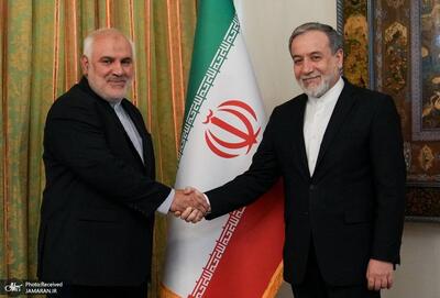  محمد فتحعلی سفیر ایران در هند شد + سوابق