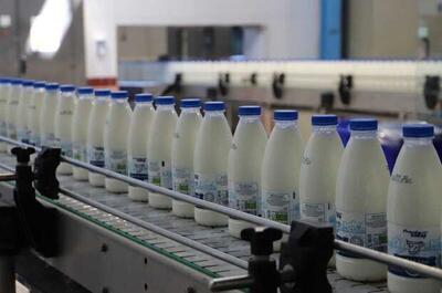  سومین عرضه اولیه امسال بورس تهران معرفی شد/ صنایع لبنی ایران در مرز خودکفایی تولید شیرخشک