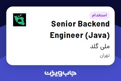 استخدام Senior Backend Engineer (Java) در ملی گلد
