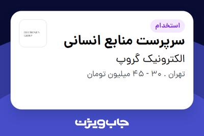  استخدام سرپرست منابع انسانی - خانم در الکترونیک گروپ