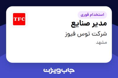  استخدام مدیر صنایع در شرکت توس فیوز