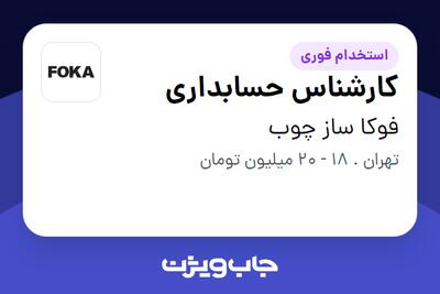  استخدام کارشناس حسابداری در فوکا ساز چوب