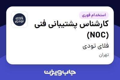  استخدام کارشناس پشتیبانی فنی (NOC) در فلای تودی