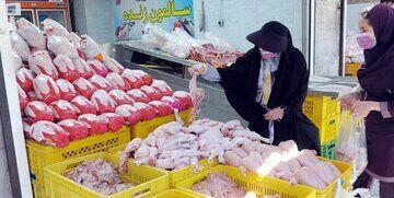  نماینده اقلیت در مجلس: با دست فرمان فعلی وزارت جهاد مرغ را باید کیلویی ۵۰۰ هزار تومان خرید/ ویدئو